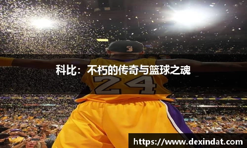 韦德体育国际
